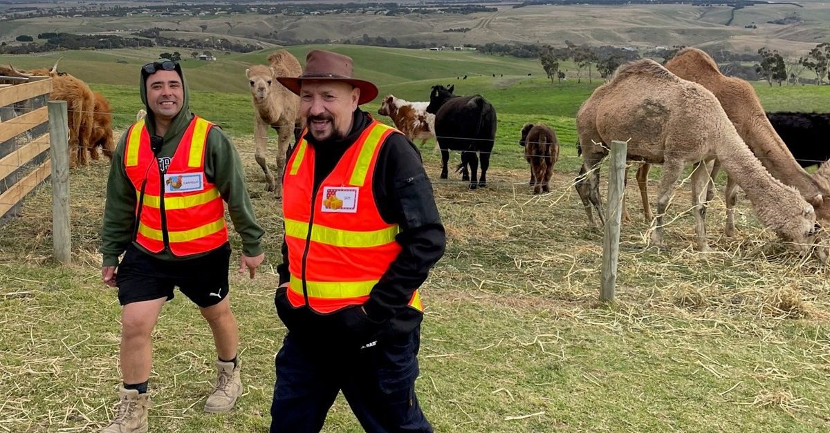 Marnong petting day 1200x627