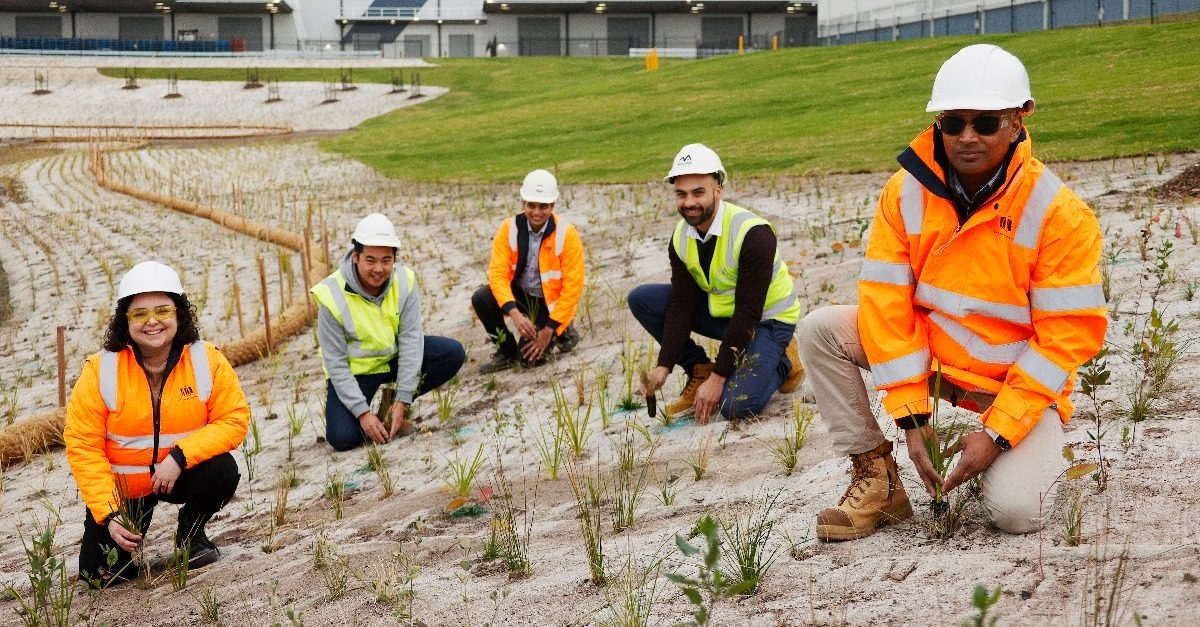 WI team goes green for World Environment Day