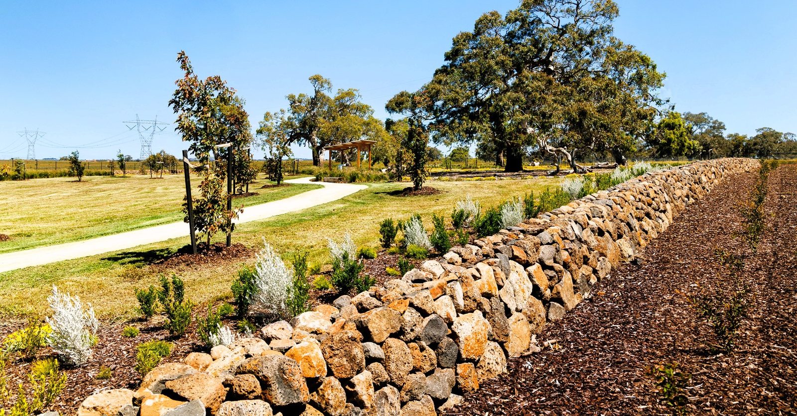 Native Space gives Logistics Park green touch